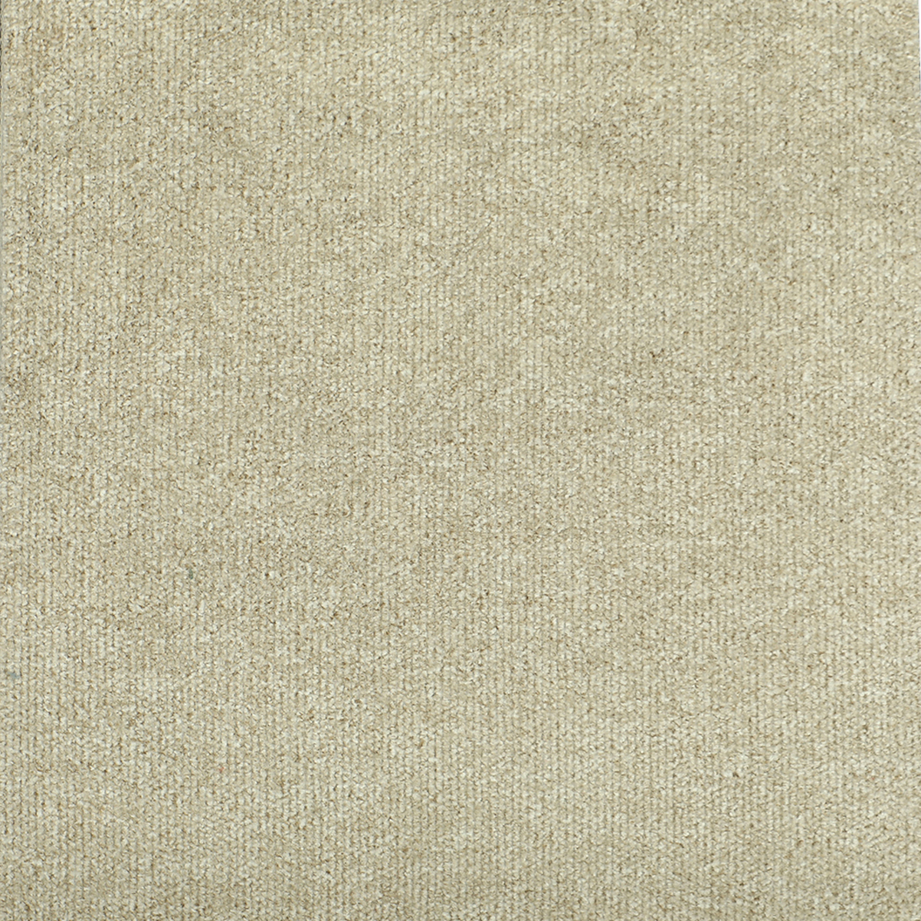 Triumph image 4