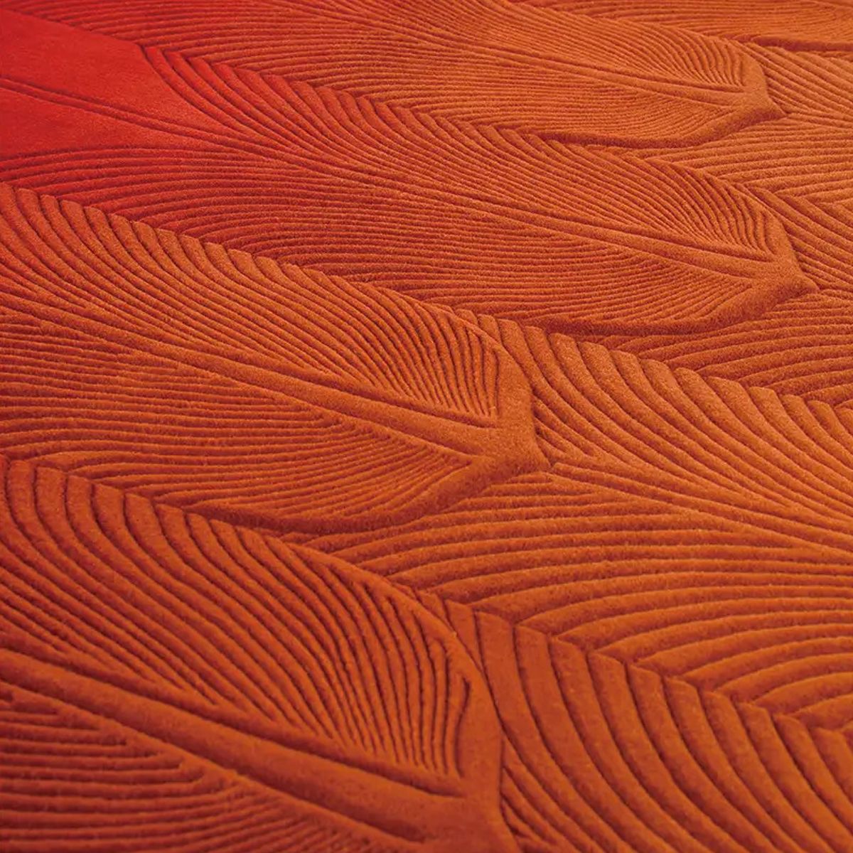 Hover Area Rug 2 - Image 2