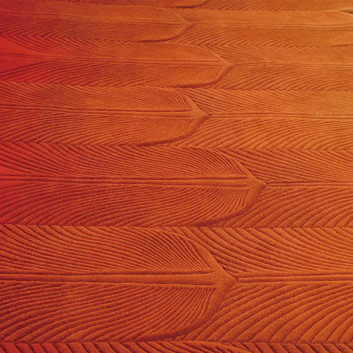 Hover Area Rug 2 - Image 3