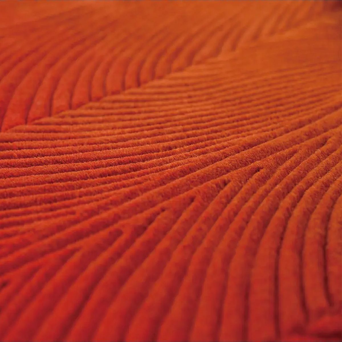 Hover Area Rug 2 - Image 4