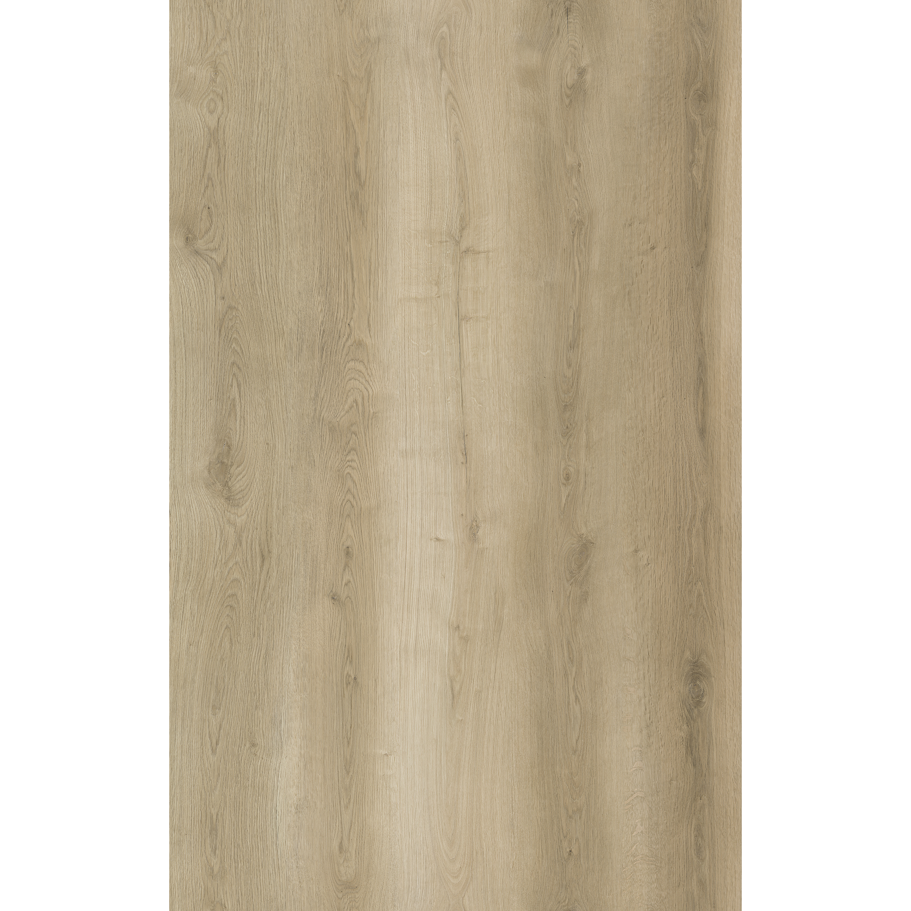 OU-SP-021 image 2