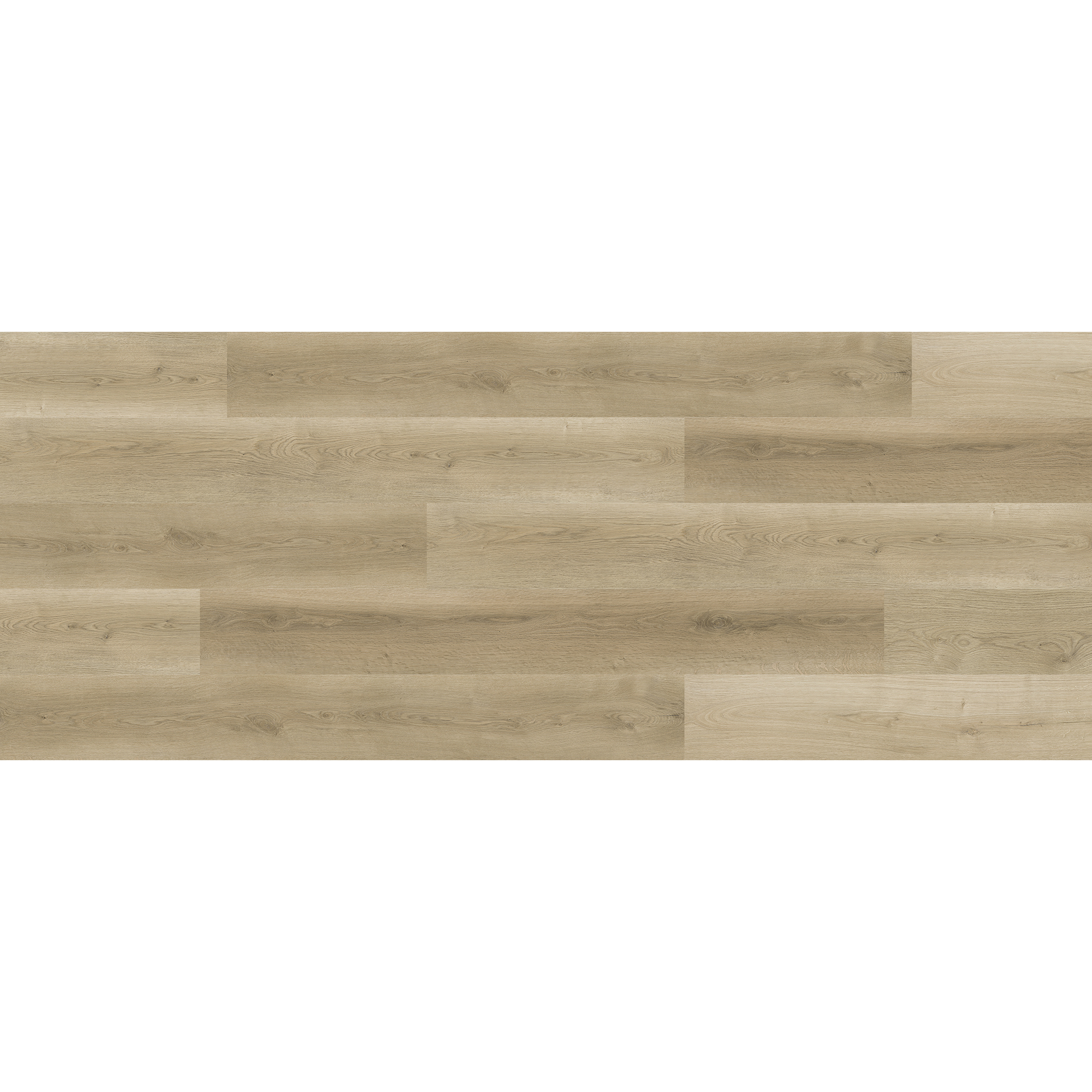 OU-SP-021 image 3