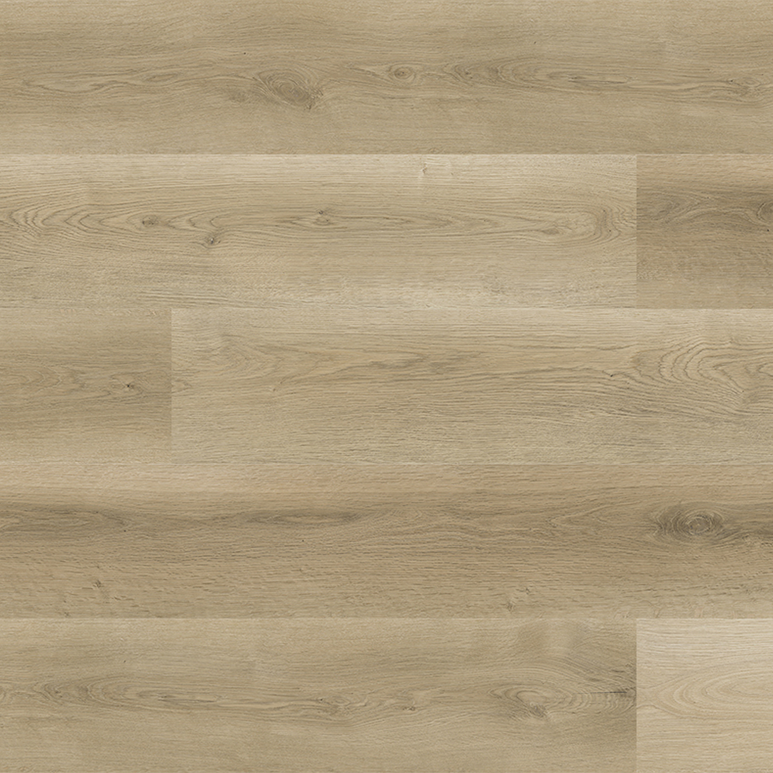 OU-SP-021 image 1