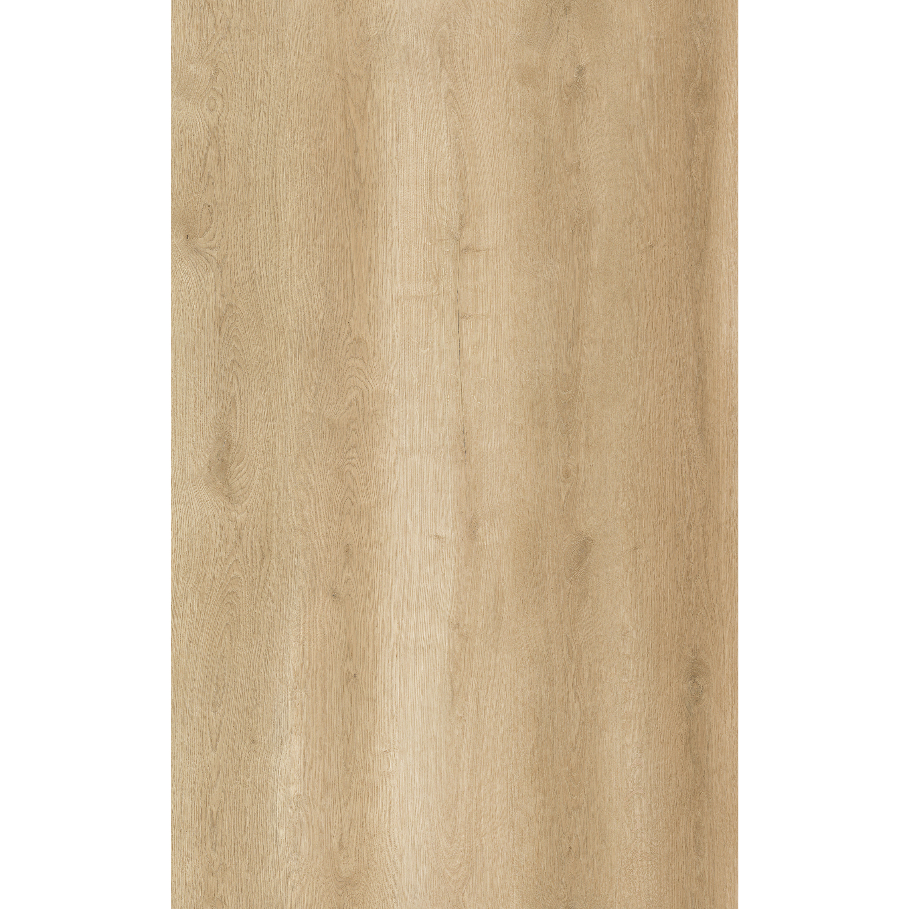 OU-SP-031 image 2