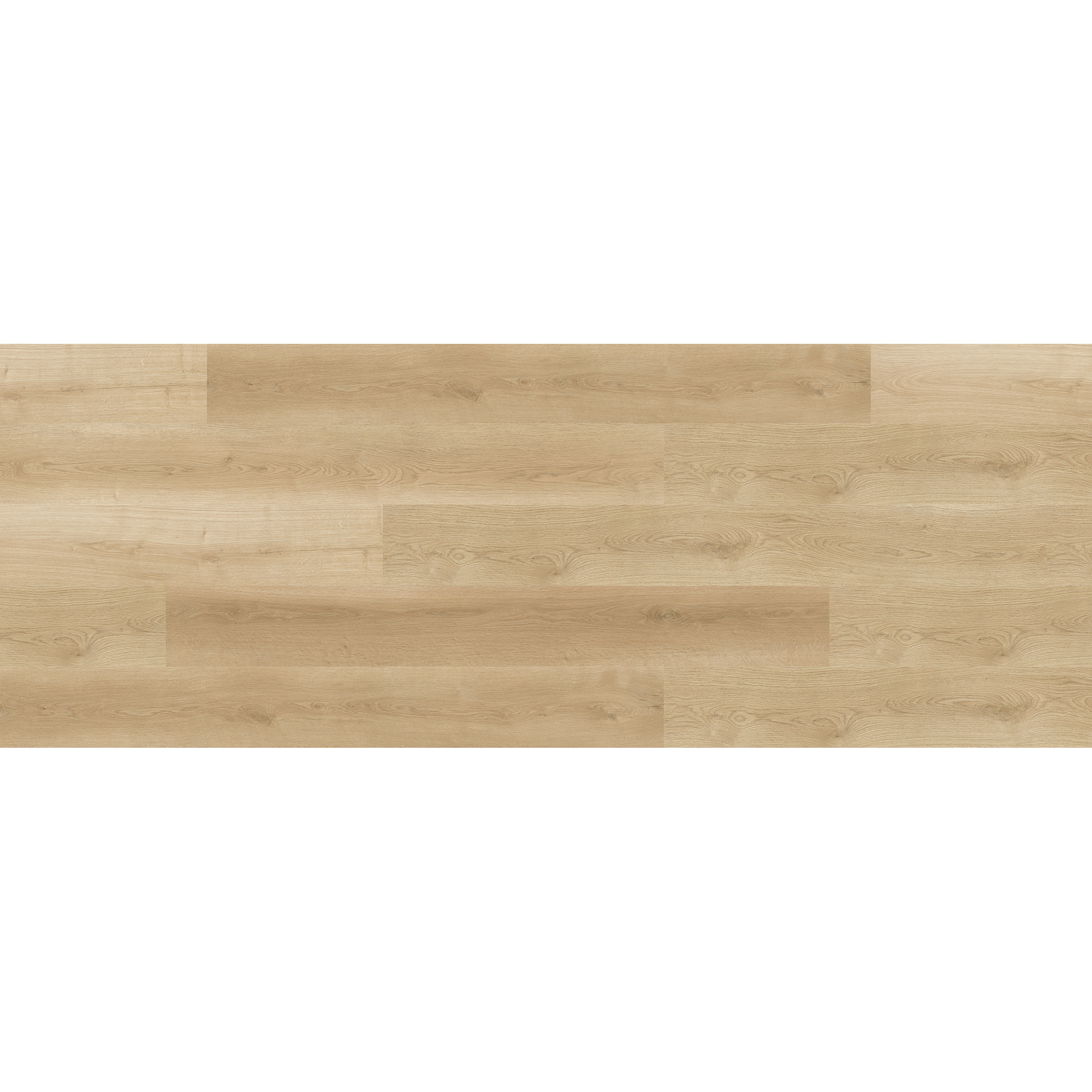 OU-SP-031 image 3