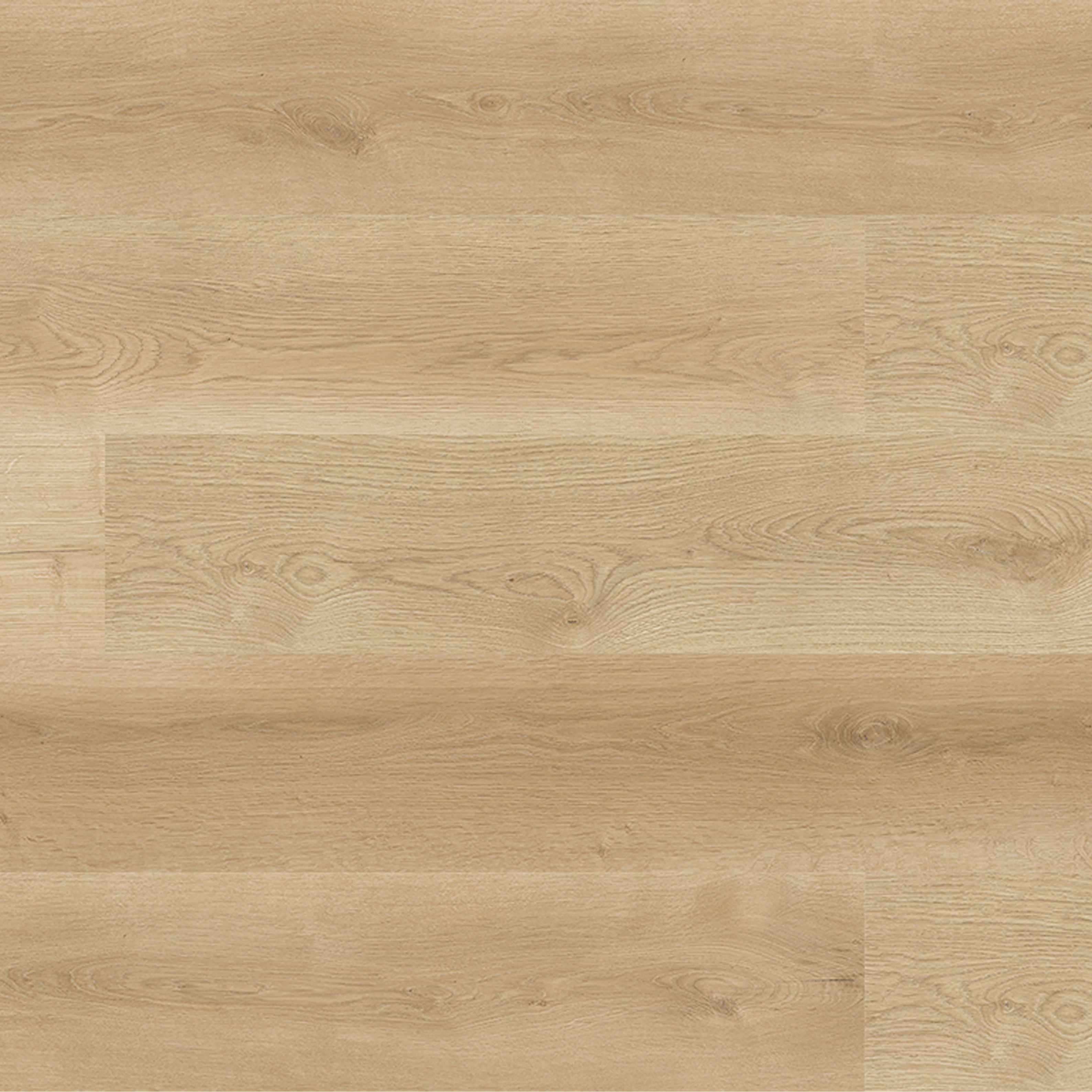 OU-SP-031 image 1