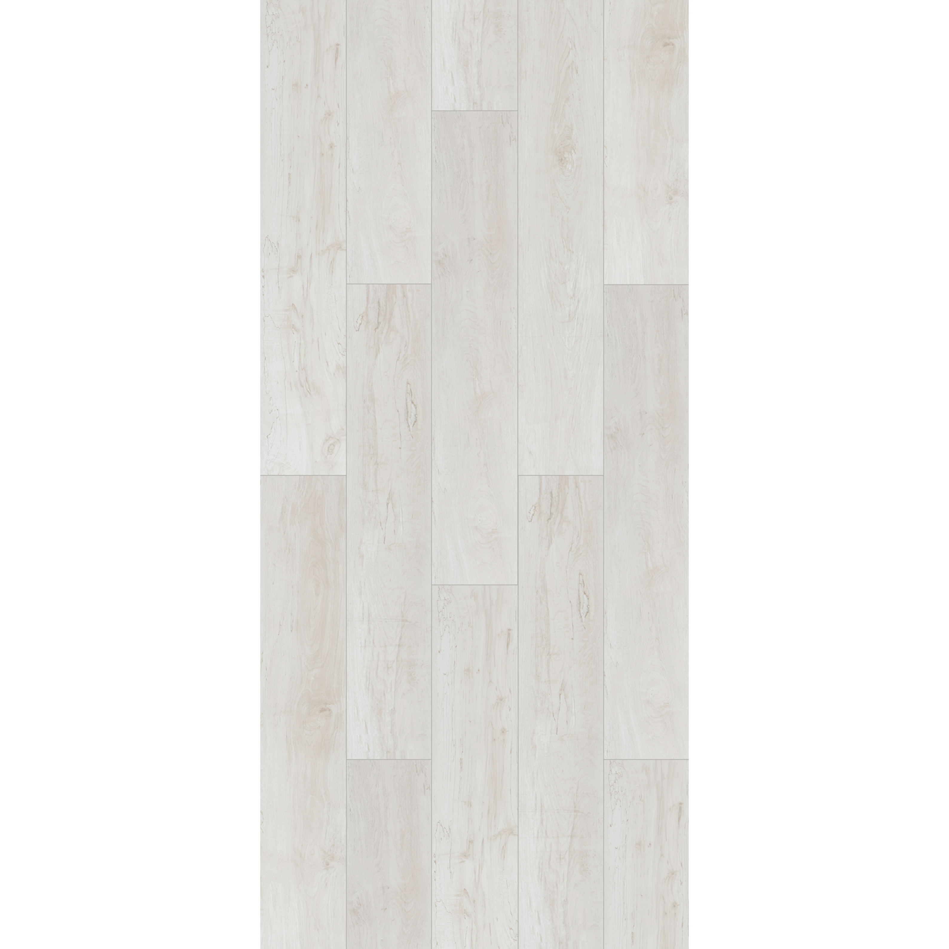 OU-SP-071 image 3