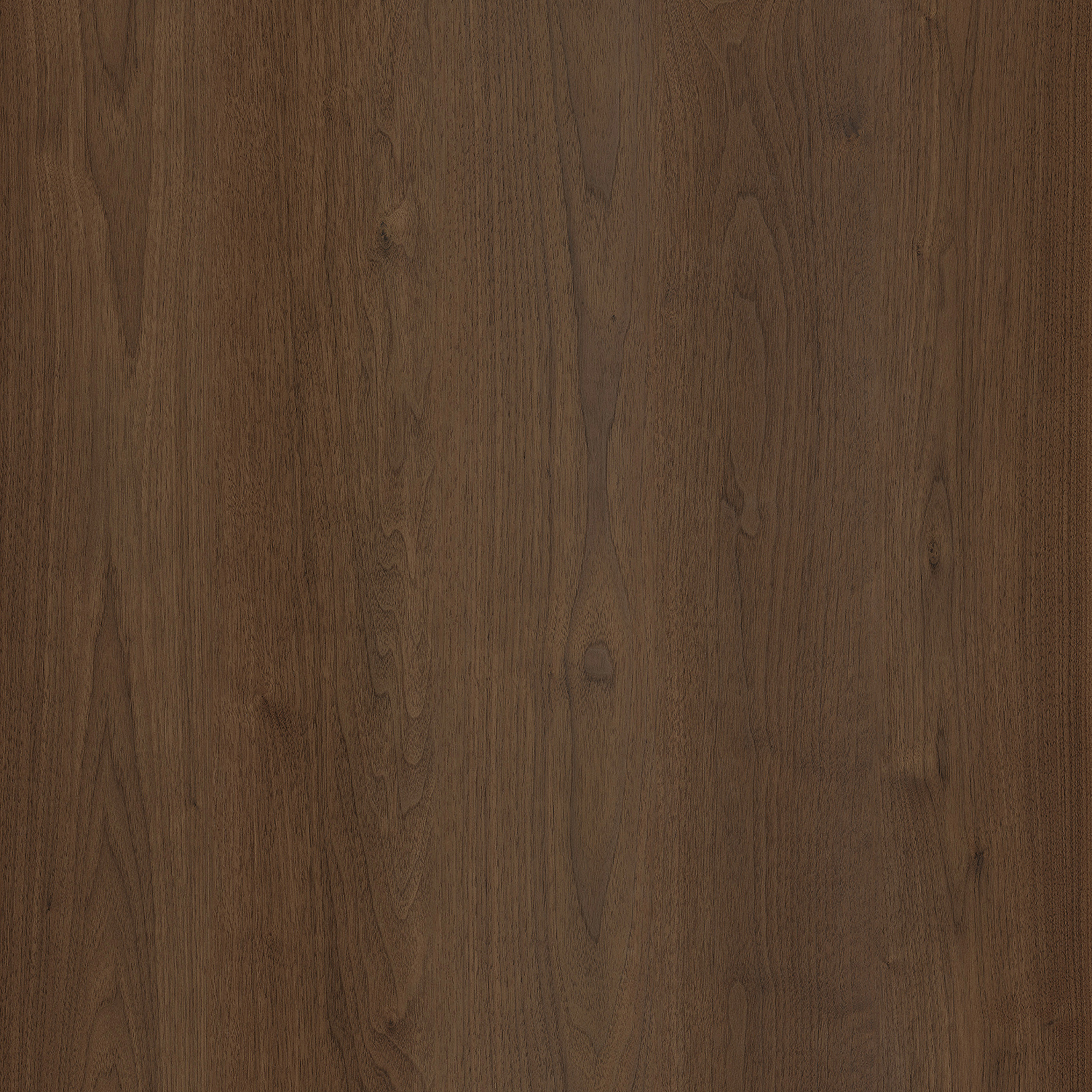 OU-SP-101 image 1