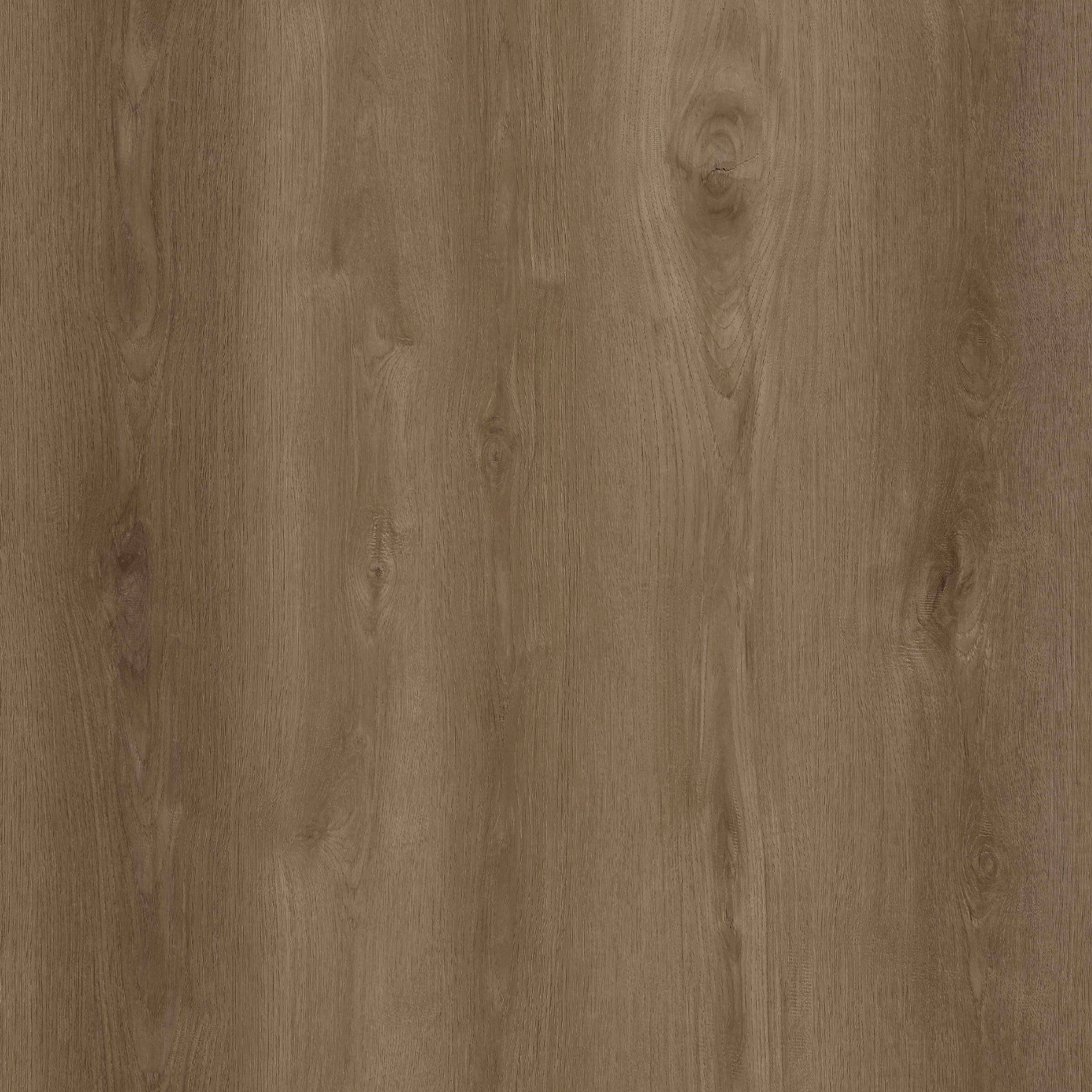 OU-SP-121 image 1
