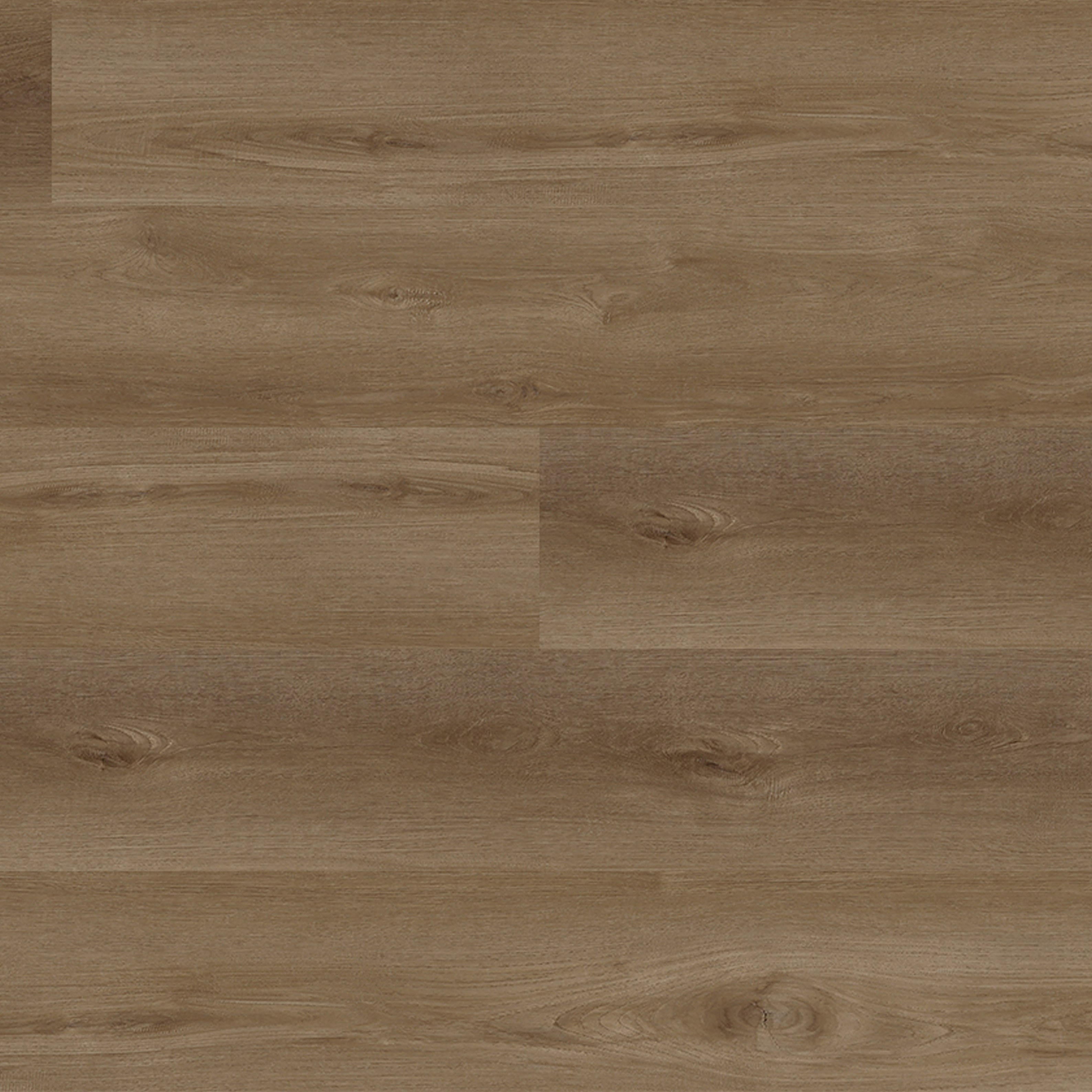 OU-SP-121 image 4