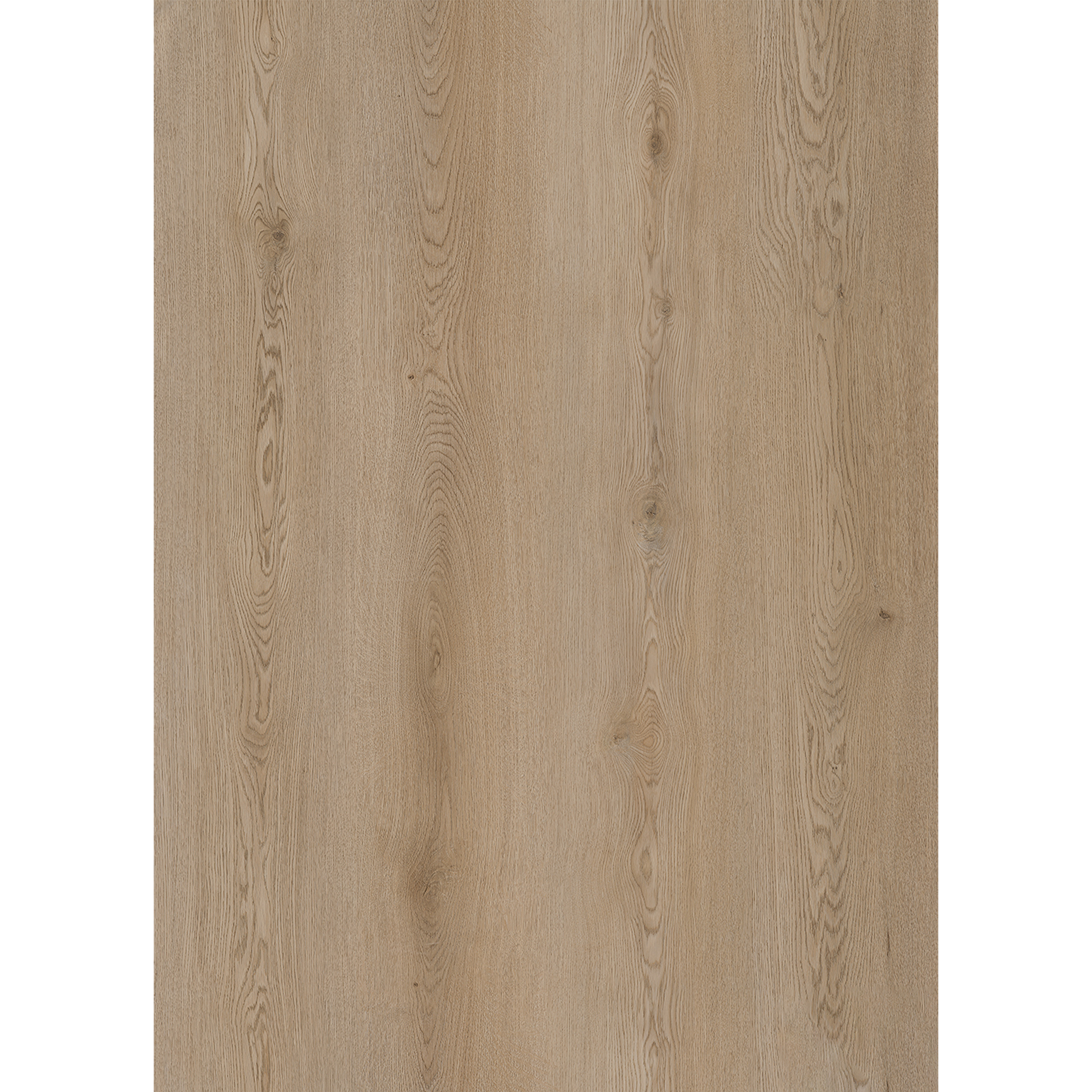 OU-SP-131 image 1