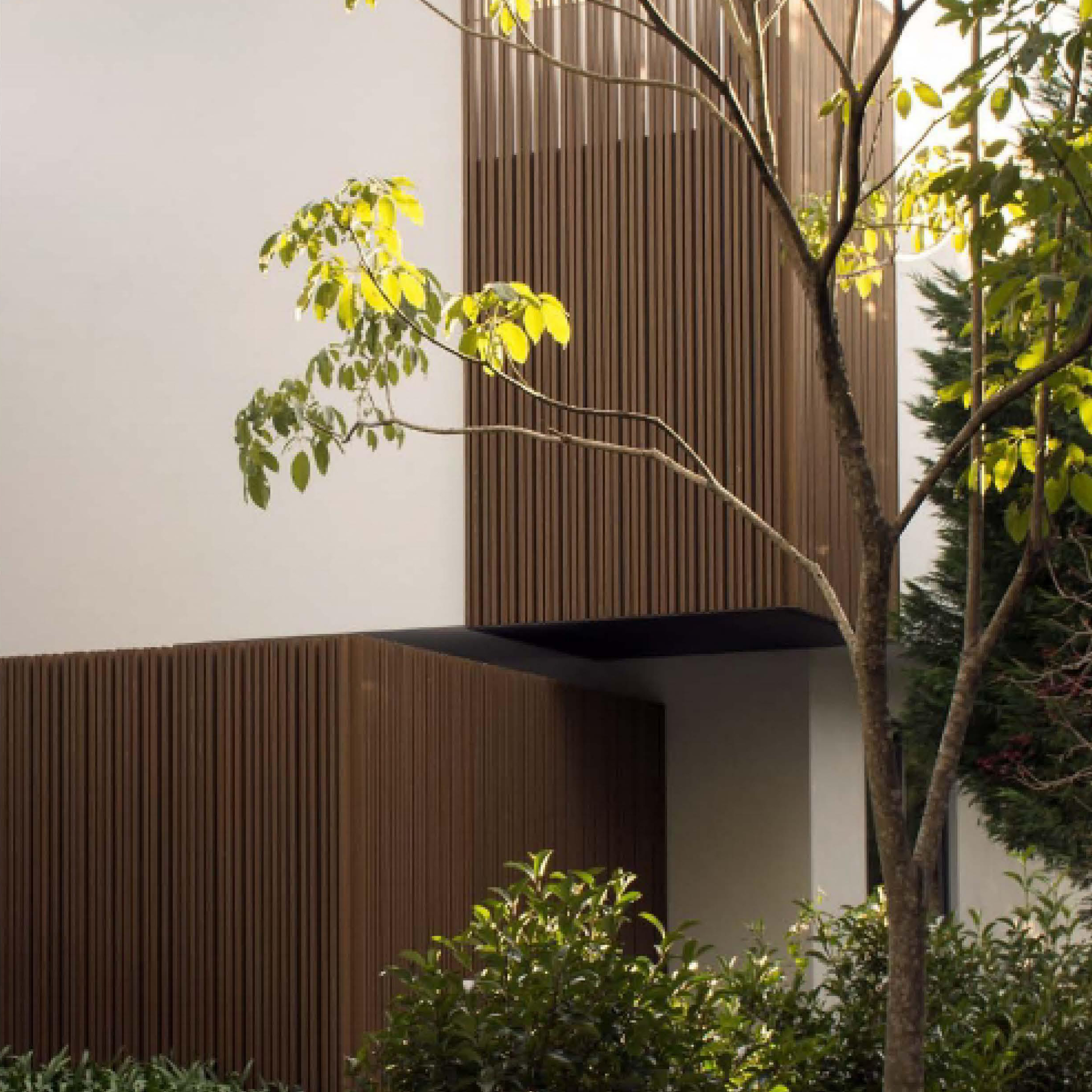 Teak